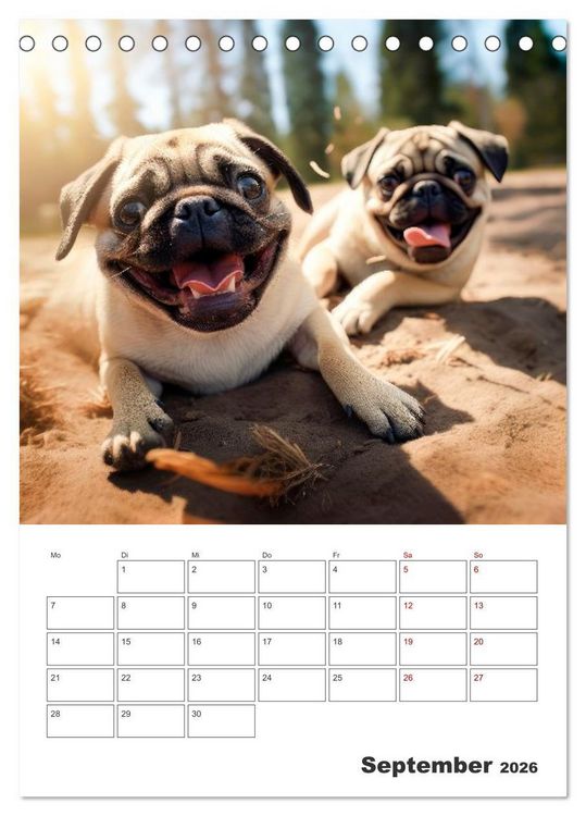 Produktbild: MOPS Pfotengl&uuml;ck in Faltenform (Tischkalender 2026 DIN A5 hoch), CALVENDO Monatskalender