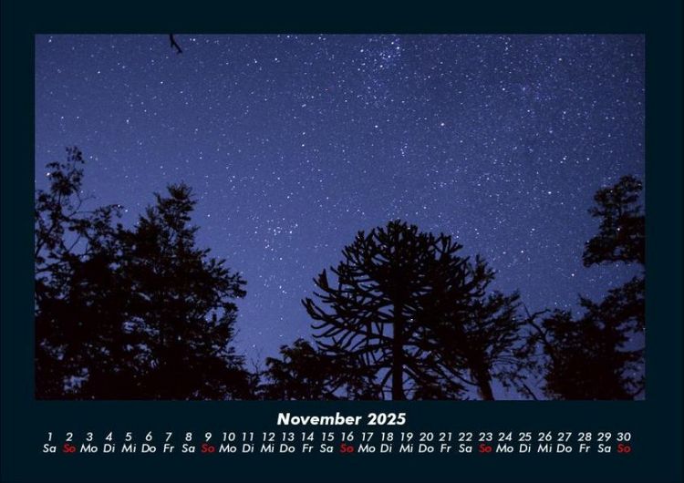 Produktbild: B&auml;ume 2025 Fotokalender DIN A4