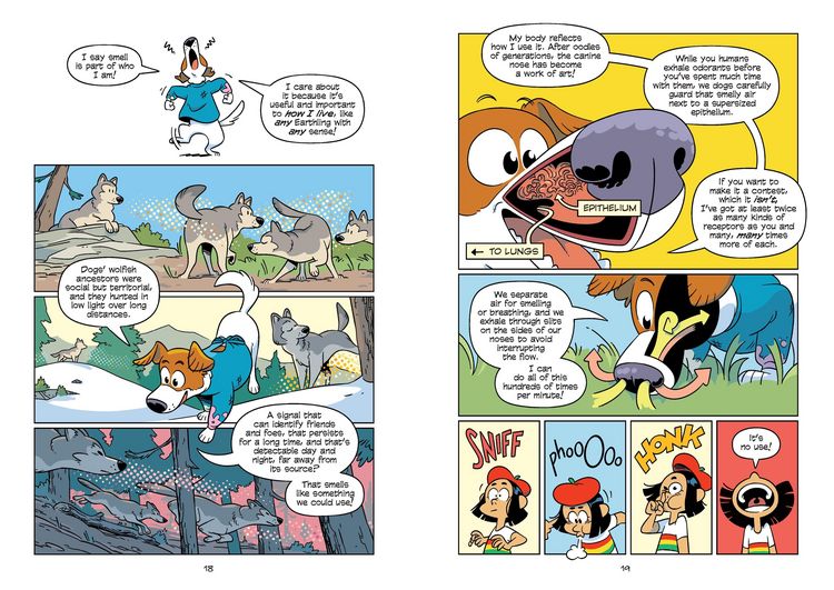Produktbild: Science Comics: The Senses