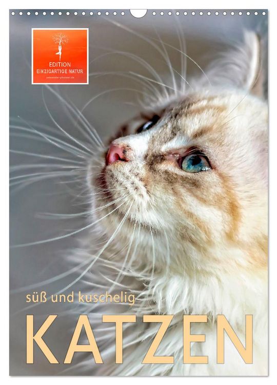 Produktbild: Katzen - s&uuml;&szlig; und kuschelig (Wandkalender 2026 DIN A3 hoch), CALVENDO Monatskalender