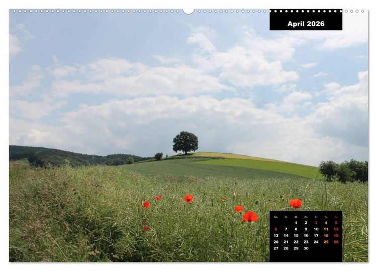 Produktbild: Odenwald Emotionen (Wandkalender 2026 DIN A2 quer), CALVENDO Monatskalender
