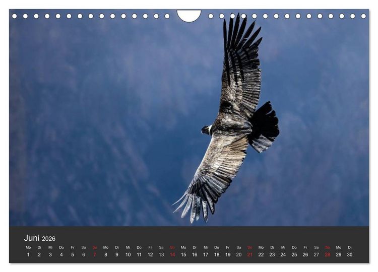 Produktbild: Peru 2026 Im Land des Kondors (Wandkalender 2026 DIN A4 quer), CALVENDO Monatskalender