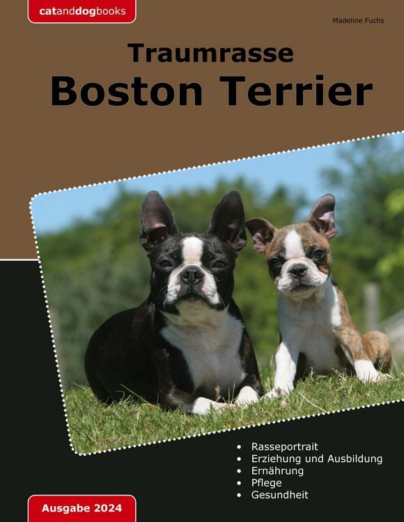 Produktbild: Traumrasse Boston Terrier