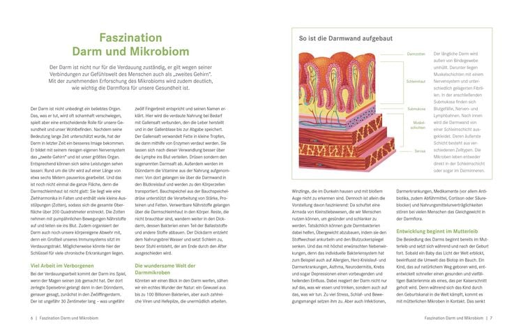 Produktbild: Die Ern&auml;hrungs-Docs  Gesund abnehmen mit der Darm-fit-Formel