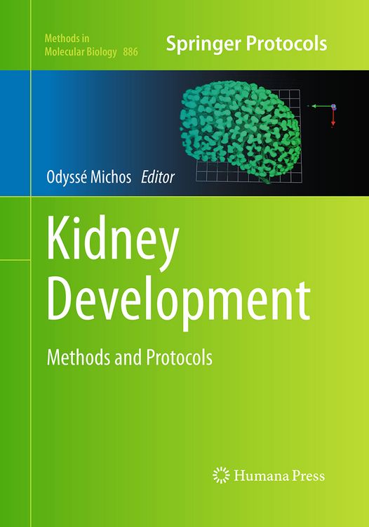 Produktbild: Kidney Development