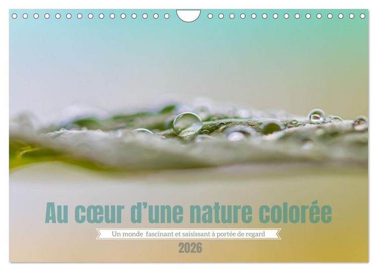 Produktbild: Au c&oelig;ur d&rsquo;une nature color&eacute;e (Calendrier mural 2026 DIN A4 vertical), CALVENDO calendrier mensuel