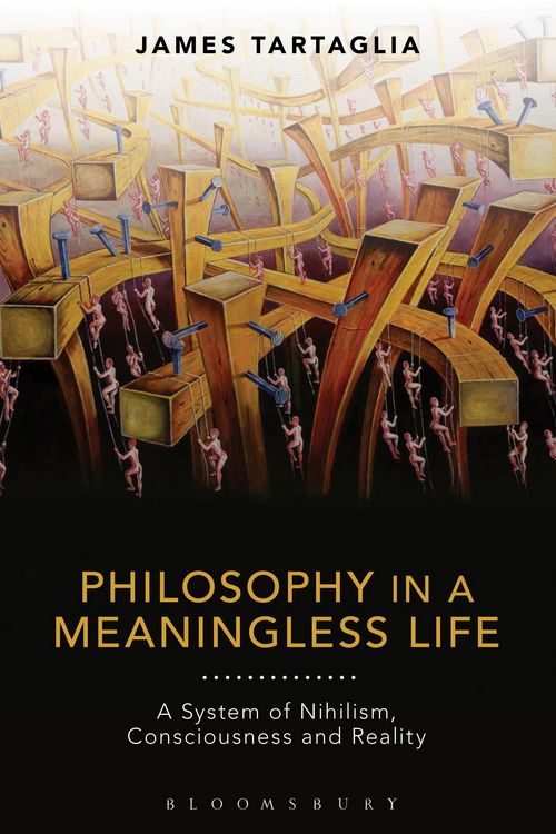 Produktbild: Philosophy in a Meaningless Life