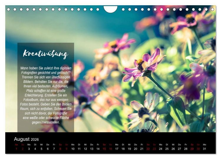 Produktbild: Die Sch&ouml;nheit der Natur - Naturfotografie-Kalender mit Foto- und Kreativ&uuml;bungen (Wandkalender 2026 DIN A4 quer), CALVENDO Monatskalender