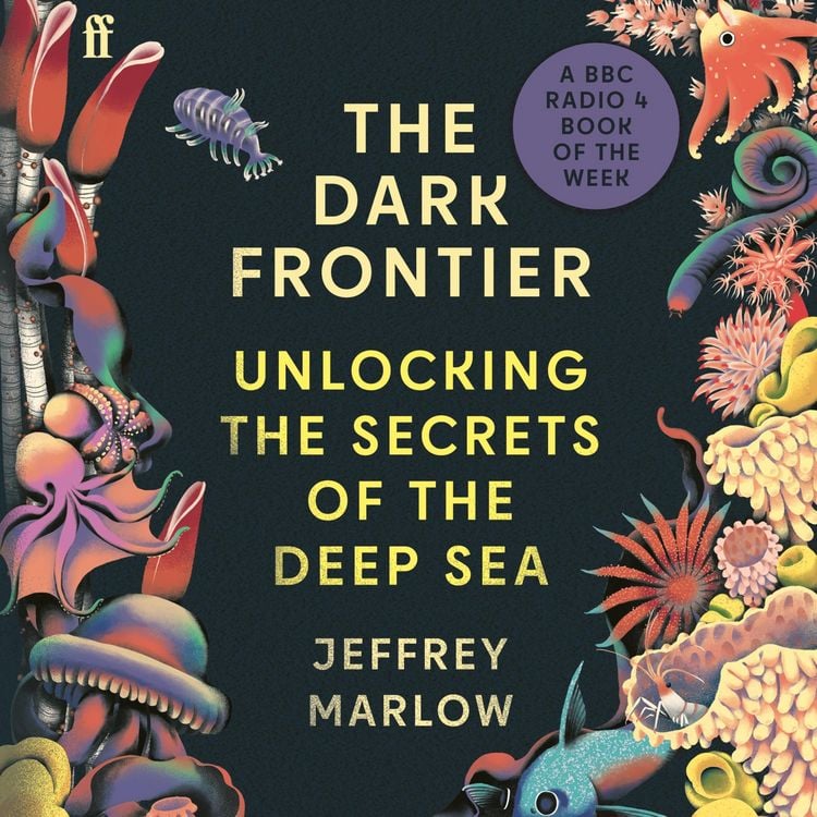 Produktbild: The Dark Frontier