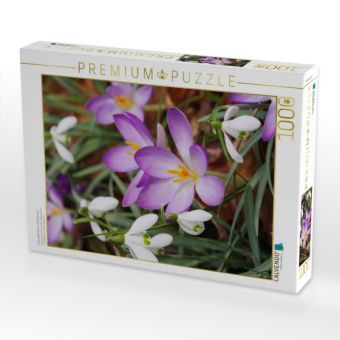 Produktbild: CALVENDO Puzzle Schneegl&ouml;ckchen und Krokusse | 1000 Teile Lege-Gr&ouml;&szlig;e 64x48cm Foto-Puzzle f&uuml;r gl&uuml;ckliche Stunden
