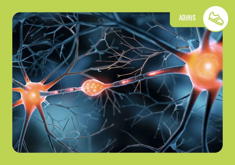 Produktbild: Neurodiversit&auml;t in der Kita