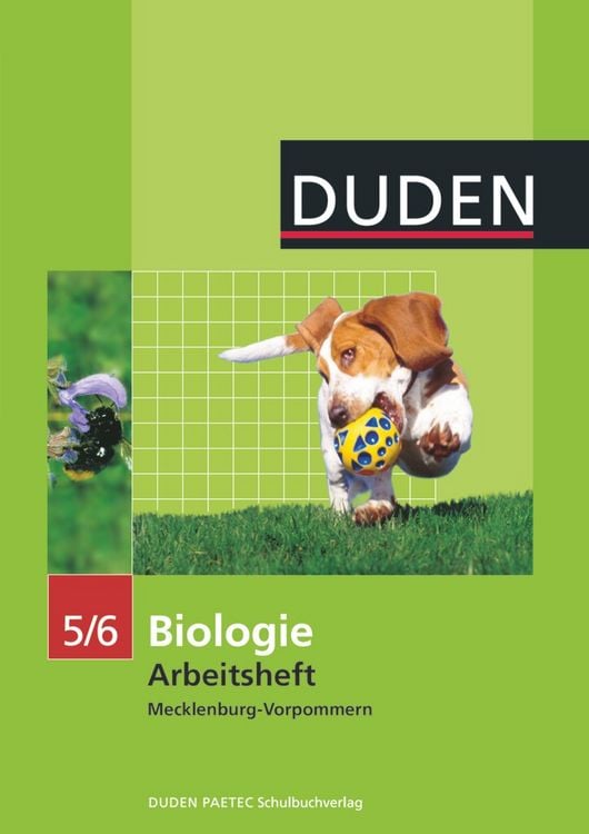 Produktbild: Duden Biologie - Sekundarstufe I - Mecklenburg-Vorpommern und Th&uuml;ringen - 5./6. Schuljahr