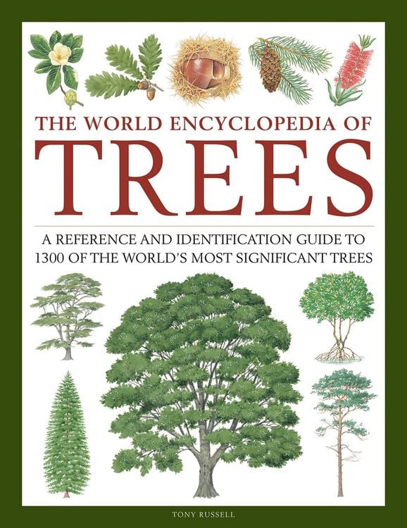 Produktbild: The World Encyclopedia of Trees