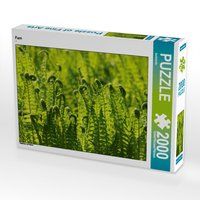 Produktbild: CALVENDO Puzzle Farn 2000 Teile Lege-Gr&ouml;&szlig;e 90 x 67 cm Foto-Puzzle Bild von kattobello