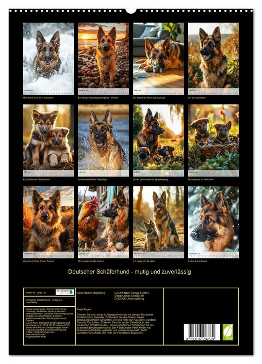 Produktbild: Deutscher Sch&auml;ferhund - mutig und zuverl&auml;ssig (hochwertiger Premium Wandkalender 2026 DIN A2 hoch), Kunstdruck in Hochglanz