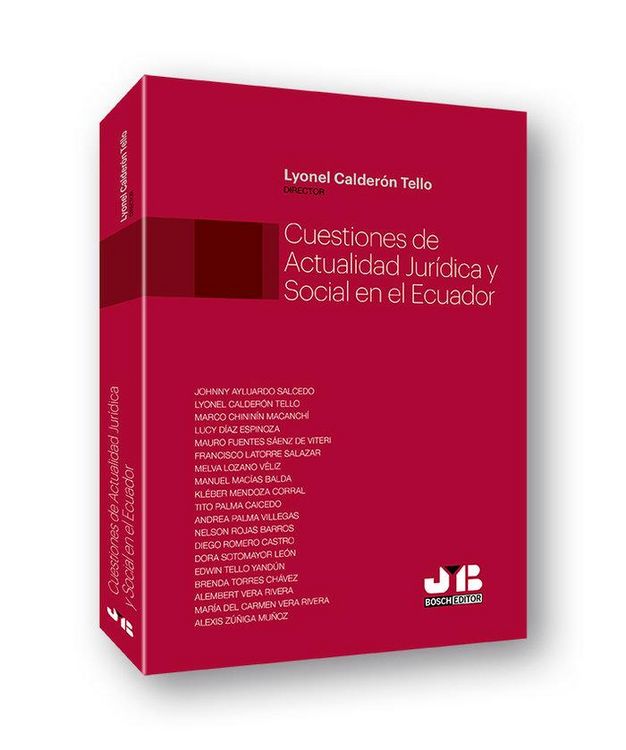 Produktbild: Cuestiones de actualidad jur&iacute;dica y social en el Ecuador