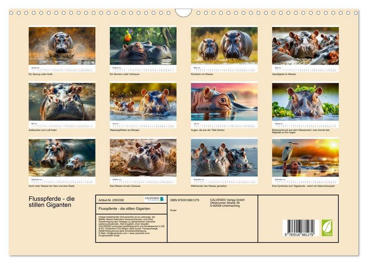 Produktbild: Flusspferde - die stillen Giganten (Wandkalender 2026 DIN A3 quer), CALVENDO Monatskalender