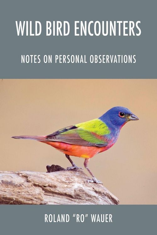 Produktbild: Wild Bird Encounters