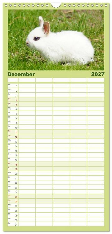 Produktbild: Familienplaner 2027 - Liebenswerte Zwergkaninchen mit 5 Spalten (Wandkalender, 21 x 45 cm) CALVENDO