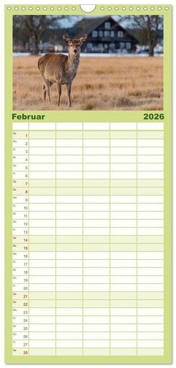 Produktbild: Familienplaner 2026 - HIRSCHE UND REHE - Ein Jahr in freier Wildbahn mit 5 Spalten (Wandkalender, 21 x 45 cm) CALVENDO