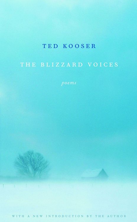 Produktbild: The Blizzard Voices