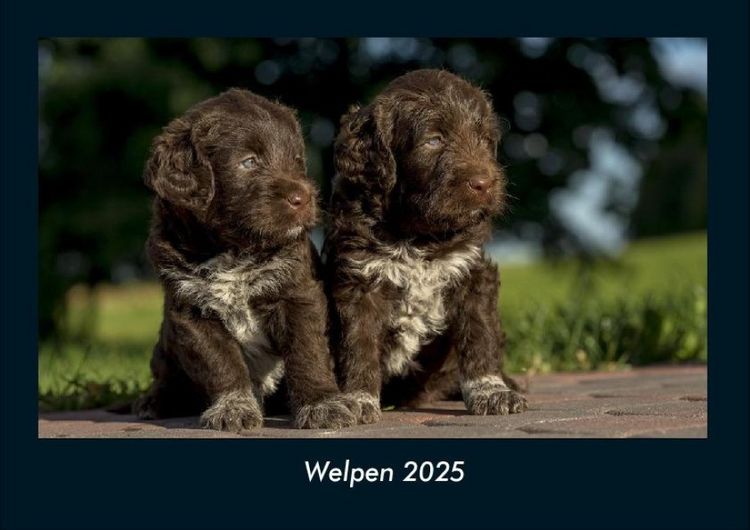 Produktbild: Welpen 2025 Fotokalender DIN A4