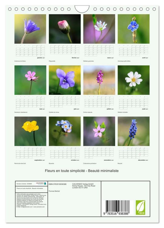 Produktbild: Fleurs en toute simplicit&eacute; - Beaut&eacute; minimaliste (Calendrier mural 2027 DIN A4 horizontal), CALVENDO calendrier mensuel