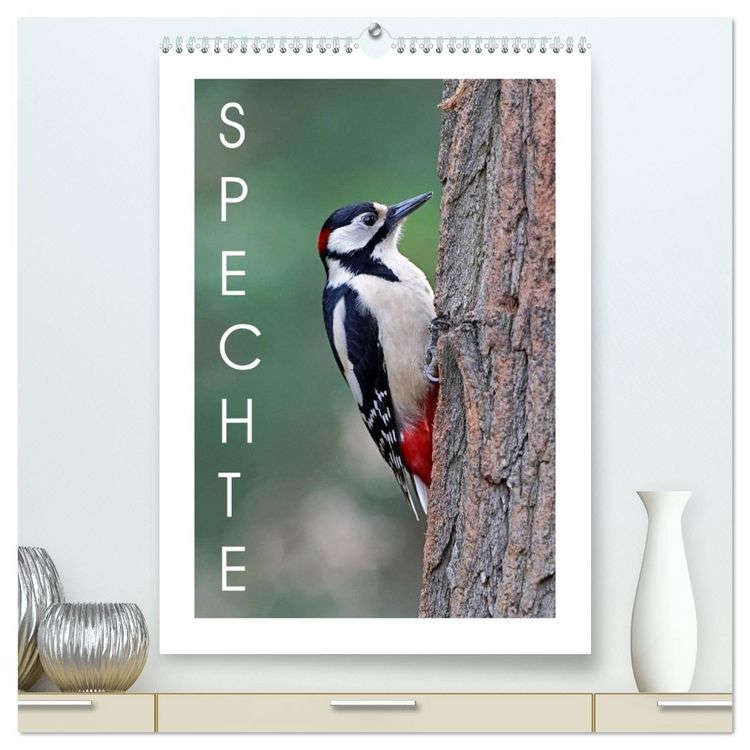 Produktbild: Spechte (hochwertiger Premium Wandkalender 2026 DIN A2 hoch), Kunstdruck in Hochglanz