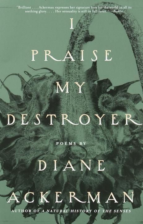 Produktbild: I Praise My Destroyer