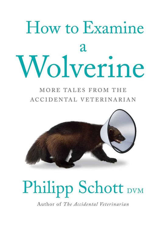 Produktbild: How to Examine a Wolverine