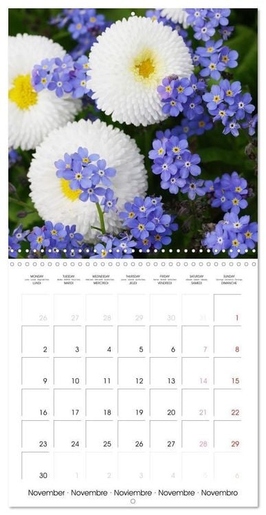 Produktbild: Kruse, G: Printemps toute l'ann&eacute;e (Calendrier mural carr&eacute; 20