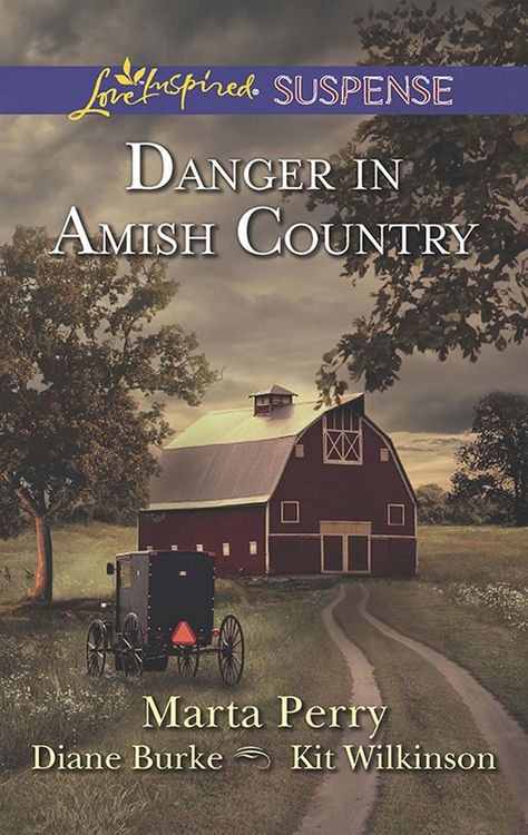 Produktbild: Danger In Amish Country