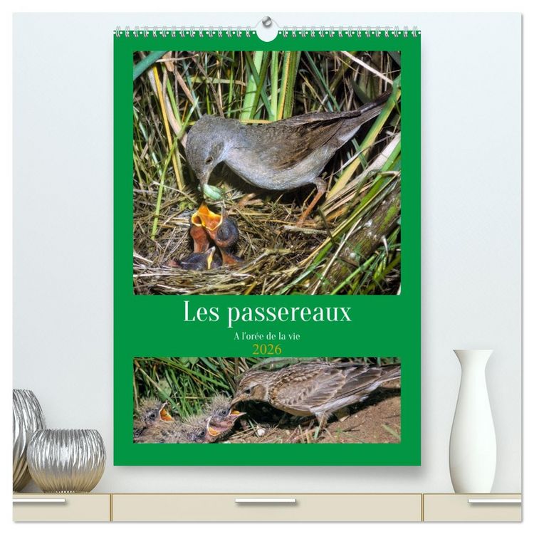 Produktbild: Les passereaux &agrave; l'or&eacute;e de la vie (Calendrier mural 2026 DIN A2 horizontal) calendrier de bureau