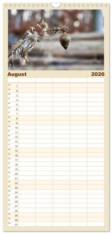 Produktbild: Familienplaner 2026 - Verbl&uuml;hte Sch&ouml;nheiten mit 5 Spalten (Wandkalender, 21 x 45 cm) CALVENDO