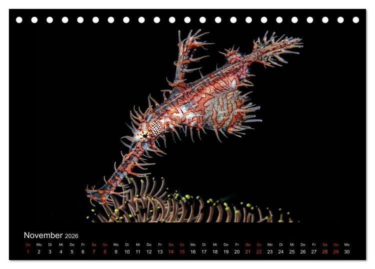 Produktbild: Ocean-Art / CH-Version (Tischkalender 2026 DIN A5 quer), CALVENDO Monatskalender