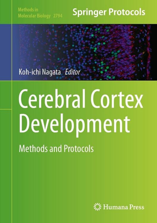 Produktbild: Cerebral Cortex Development