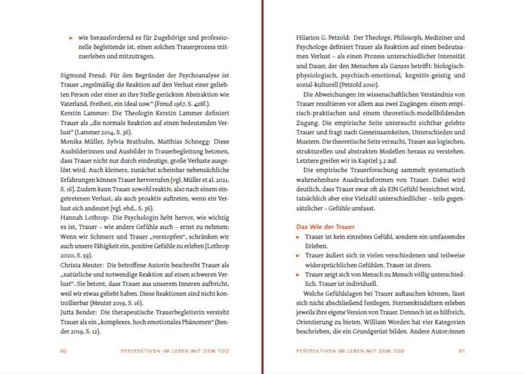 Produktbild: Sternenkind: Trauer verstehen und begleiten