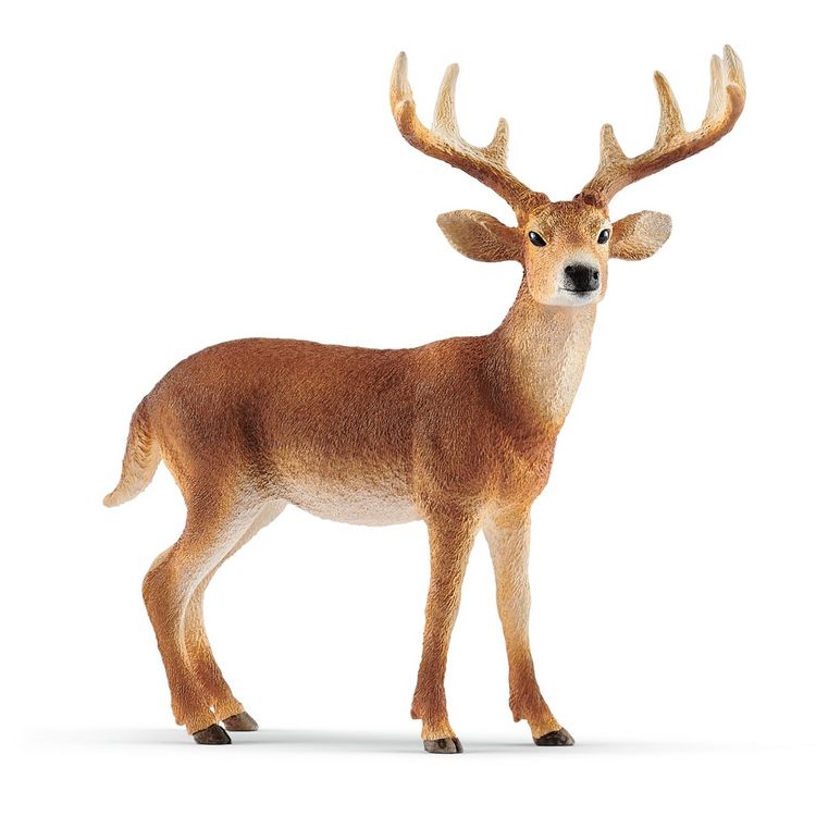 Produktbild: Schleich 14818 - Wild Life, Wei&szlig;wedelhirsch, Tierfigur