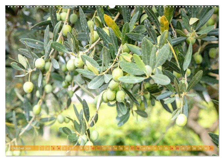 Produktbild: Valpolicella (hochwertiger Premium Wandkalender 2026 DIN A2 quer), Kunstdruck in Hochglanz