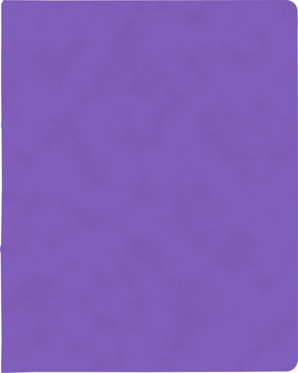 Produktbild: Brunnen Ringbuch FACT!plus &brvbar; A4, 2 Ringe, F&uuml;llh&ouml;he: 15 mm, violett