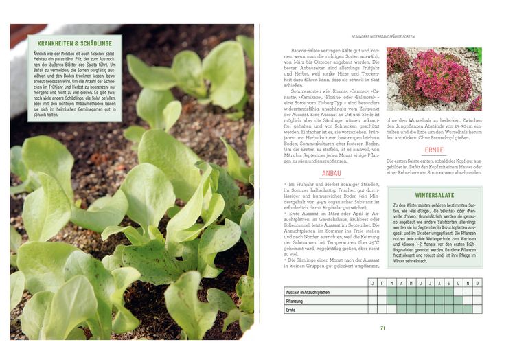 Produktbild: Der Survival-Garten - Gem&uuml;se- und Obstsorten, die allen Widrigkeiten trotzen