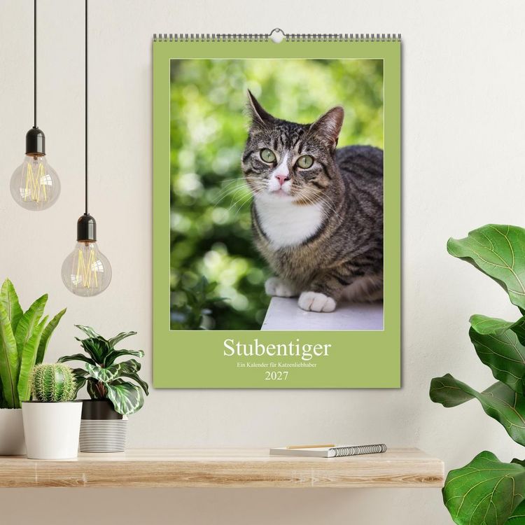Produktbild: Stubentiger (Wandkalender 2027 DIN A2 hoch), CALVENDO Monatskalender