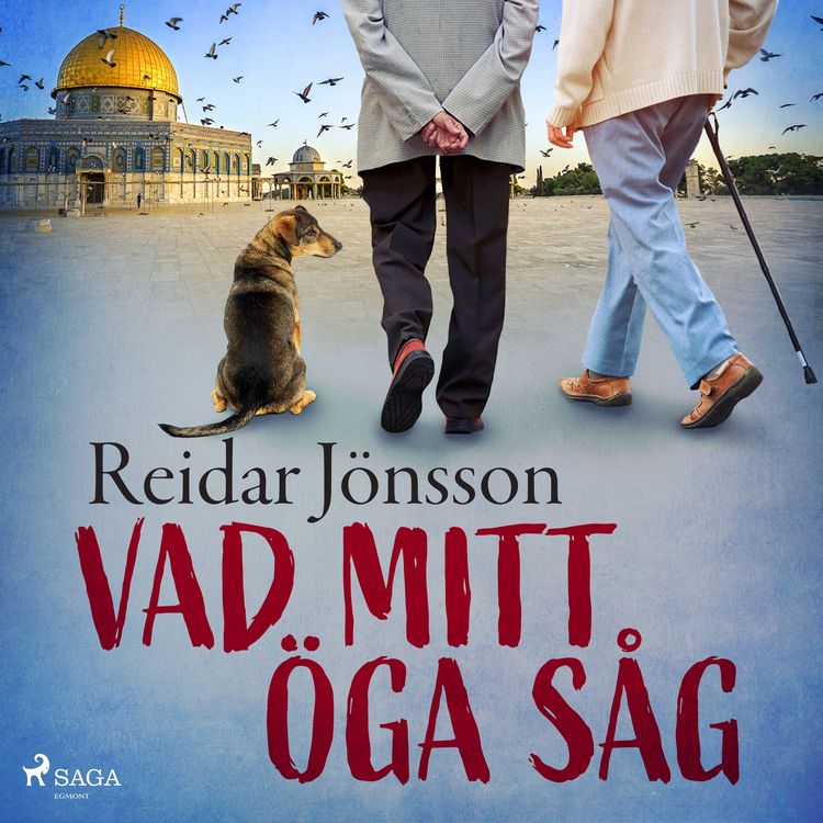 Produktbild: Vad mitt &ouml;ga s&aring;g