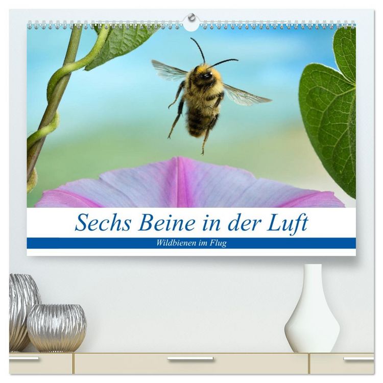 Produktbild: Sechs Beine in der Luft - Wildbienen im Flug (hochwertiger Premium Wandkalender 2026 DIN A2 quer), Kunstdruck in Hochglanz