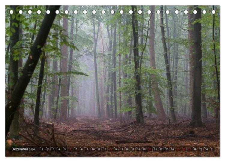Produktbild: Feng Shui Farben - Element: Holz (Tischkalender 2026 DIN A5 quer), CALVENDO Monatskalender
