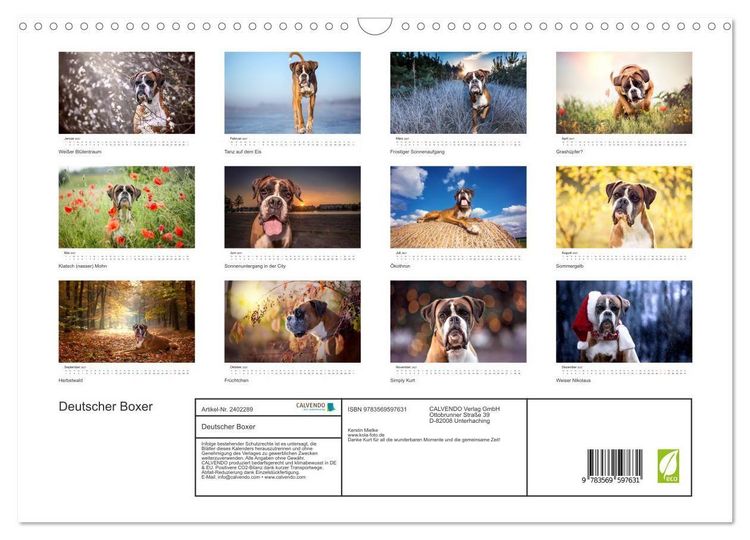 Produktbild: Deutscher Boxer (Wandkalender 2027 DIN A3 quer), CALVENDO Monatskalender