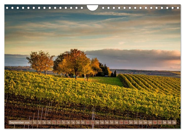Produktbild: Rheinhessen-Impressionen (Wandkalender 2026 DIN A4 quer), CALVENDO Monatskalender