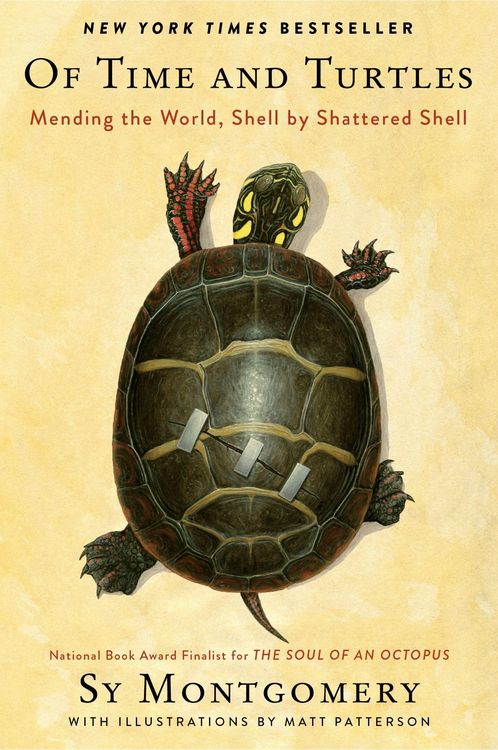 Produktbild: Of Time and Turtles