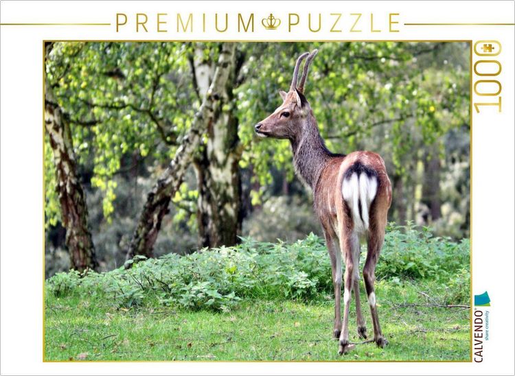 Produktbild: CALVENDO Puzzle Der Sikahirsch - Der kleine Asiat in unseren W&auml;ldern | 1000 Teile Lege-Gr&ouml;&szlig;e 64x48cm Foto-Puzzle f&uuml;r gl&uuml;ckliche Stunden
