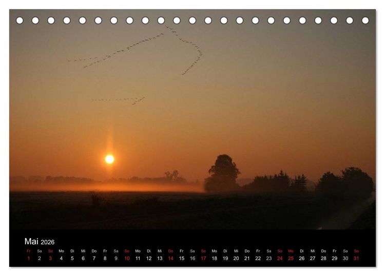 Produktbild: Kranich-Land Brandenburg (Tischkalender 2026 DIN A5 quer), CALVENDO Monatskalender